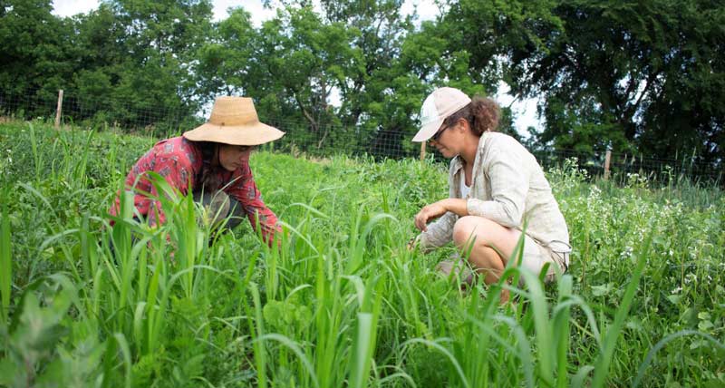 Events | Marbleseed | Organic farming conference, Field Days, New ...