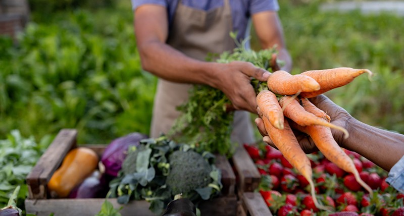 {`$Image.Element.attributes.Alt}